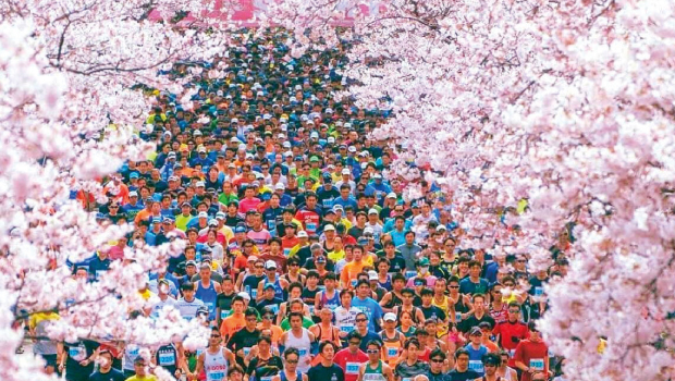 HITACHI SAKURA ROAD RACE