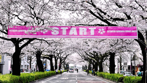 HITACHI-SAKURA-ROAD-RACE Package 7
