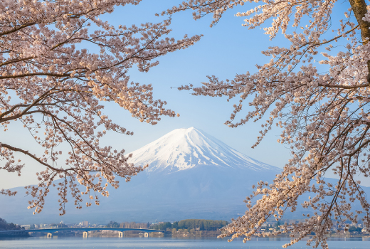 EASY PRELUDE HARMONY OSAKA TOKYO 7D5N (TOKYO DISNEYLAND)