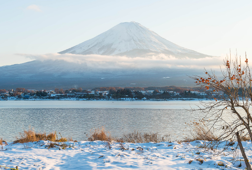 EASY TOKYO WONDER 6DAYS 3NIGHTS (FUJI SKI)