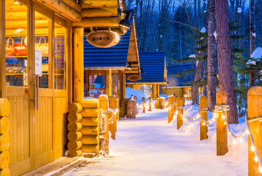 EASY EXCLUSIVE HOKKAIDO WITH POWDER OF SNOW 6D4N (WHITE WINTER)