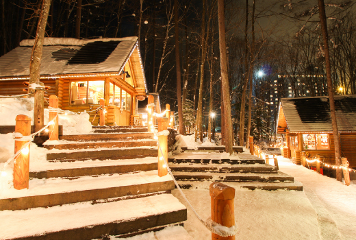 EASY EXCLUSIVE HOKKAIDO WITH POWDER OF SNOW 7D5N (WHITE WINTER)