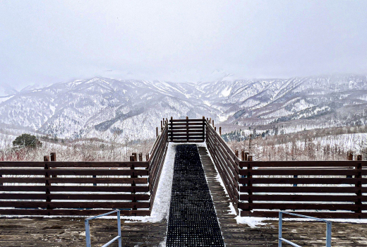 EASY HAKUBA MOUNTAIN WINTER OF NATURE SONG 7D5N (HAPPY SNOW)