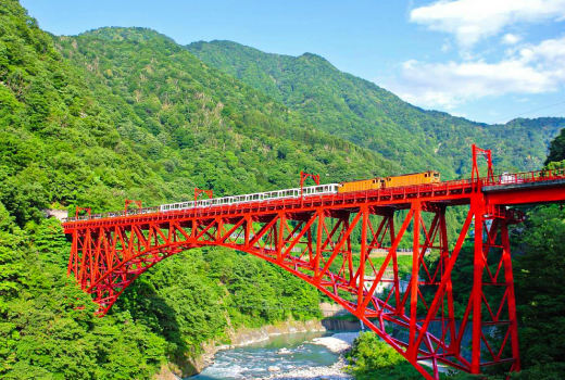 EASY GREAT SNOW WALL 7D 5N (KUROBE TOROKKO)