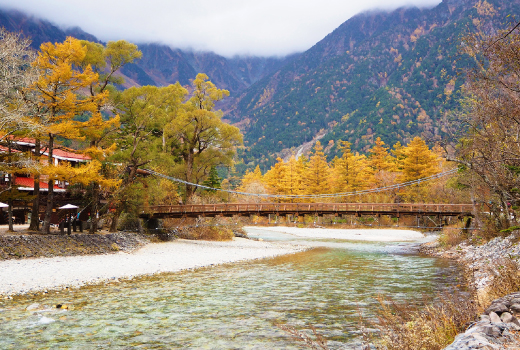 EASY TAKAYAMA KAMIKOCHI 6DAYS 4NIGHTS (FRUIT PICKING)