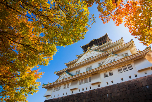 EASY AUTUMN IN KANSAI 6D3N (COLORS OF LEAVES)