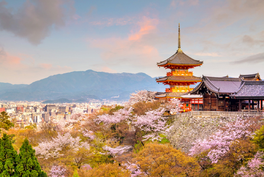 EASY SPRINGTIME SAKURA IN KANSAI (KYOTO ONSEN)