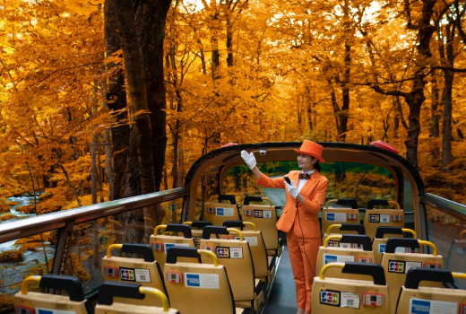 EASY TOHOKU DELUXE 8DAYS 7NIGHTS (DAY FLIGHT)